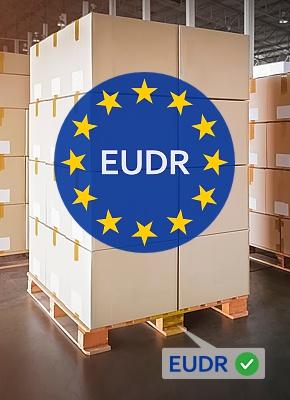 Koopt u houten pallets? Alles wat u moet weten over de EUDR regelgeving