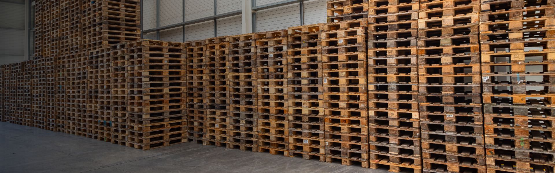 Dé duurzame palletaanbieder van Europa | Rotom